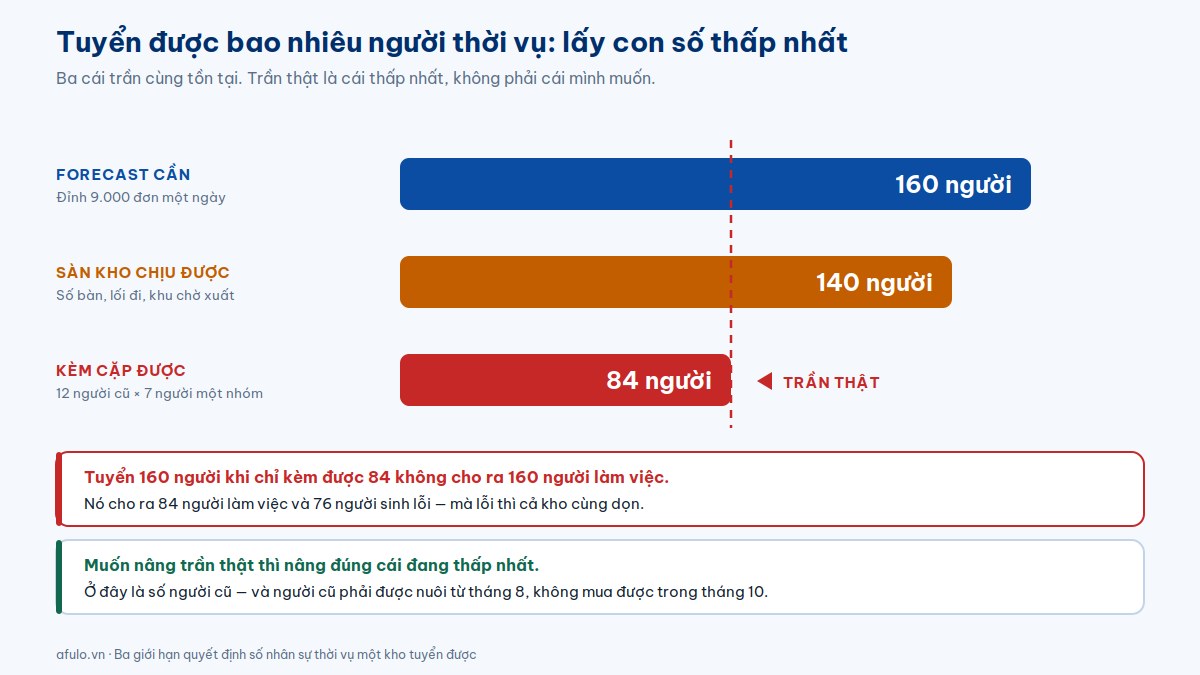 Biểu đồ ba giới hạn quyết định số nhân sự thời vụ tuyển được: forecast, sức chứa sàn kho và số người cũ kèm cặp